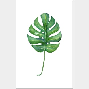 Tropical Plant Posters and Art